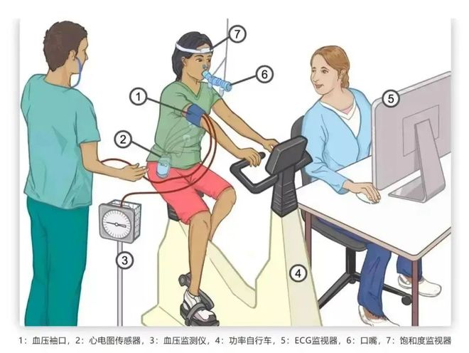 2021SHC国际体育运动健康展精bandao下载彩预告来了！(图10)