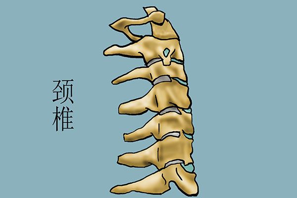 多数人的跑步方式bandao下载是错的不但会伤膝盖还可能导致瘫痪(图6)